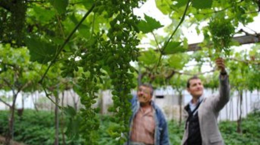 Manavgatlı &ccedil;ift&ccedil;ilere 'bilin&ccedil;li tarım uygulaması' eğitimi