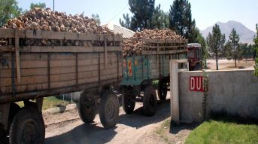 Randevu sistemi çiftçileri ve fabrikayı rahatlattı