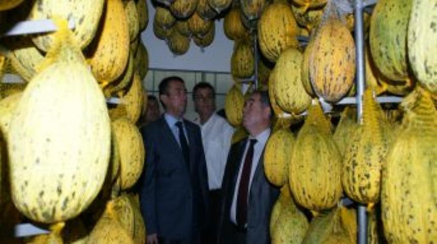 Kırkağa&ccedil; kavunu modern depolarda 6 ay muhafaza edilecek
