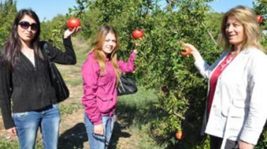 G&uuml;neydoğulu &ccedil;ift&ccedil;iler Mersin&rsquo;de...