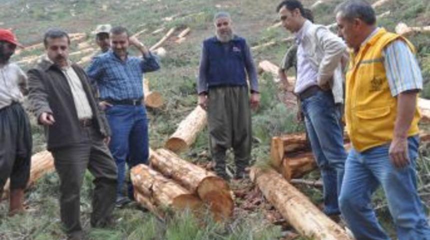 Odun &Uuml;retim sahaları inceleniyor