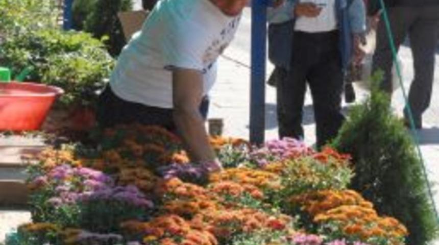 Fidanların aşılı olmasına dikkat edilmeli