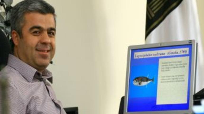 G&ouml;kova K&ouml;rfezi'nde 27 zehirli balık t&uuml;r&uuml; tespit edildi