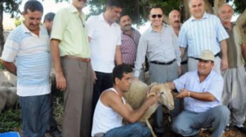 K&ouml;yler hizmete hasret kalmıştı