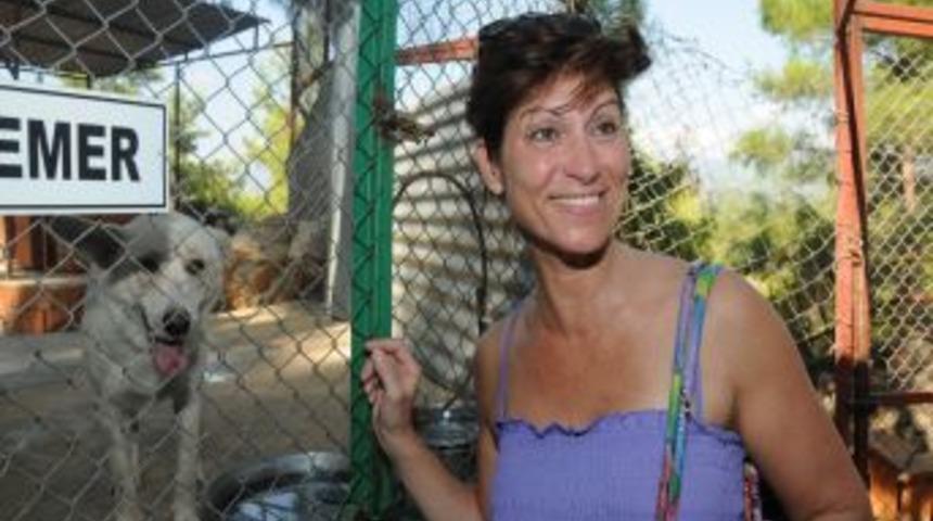 Alanya&rsquo;da her yıl 25 k&ouml;pek Avrupalı oluyor