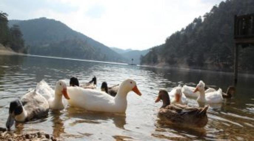 Zamanın durduğu şehir G&ouml;yn&uuml;k keşfedilmeyi bekliyor