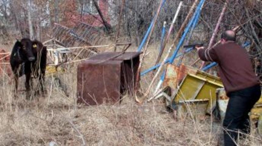 Erzurum B&uuml;y&uuml;kşehir Belediyesi 'kurban yakalama timi' kurdu