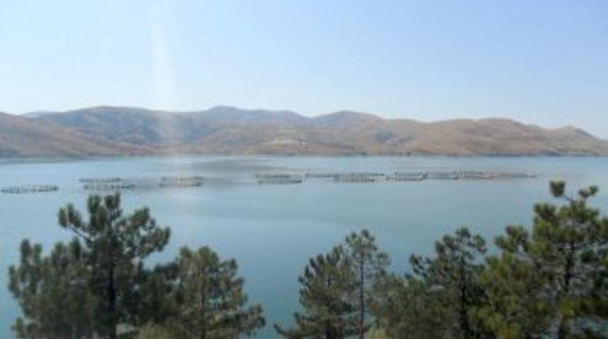 Afyonkarahisar'da k&uuml;lt&uuml;r balık&ccedil;ılığı g&ouml;zde sekt&ouml;r oldu, tesis sayısı 20'ye &ccedil;ıktı