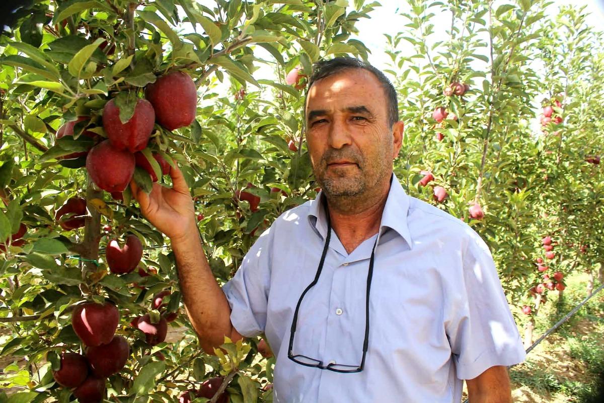 Hobi olarak başladı, şimdi 4 ülkeye gönderiyor! 25 bin ağaca ulaştı 1