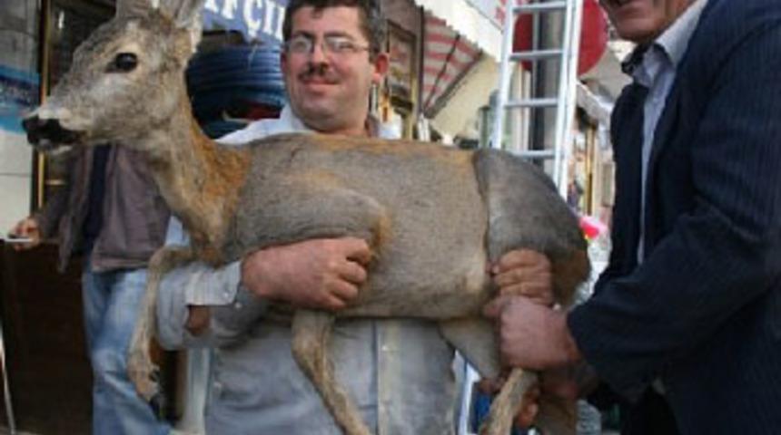 Denizden palamut yerine karaca &ccedil;ıktı