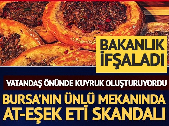 Bursa'nın &uuml;nl&uuml; lokantasında skandal olay! At-eşek eti tespit edildi