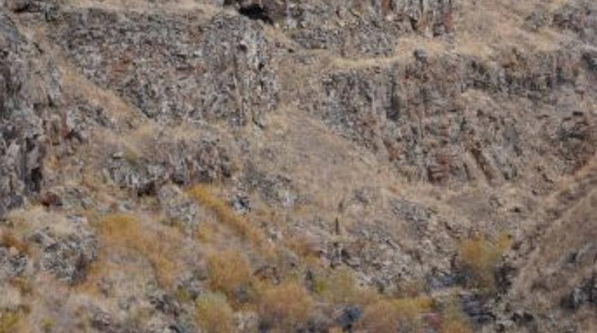 Bing&ouml;l'de 320 kilogram patlayıcı madde yakalandı