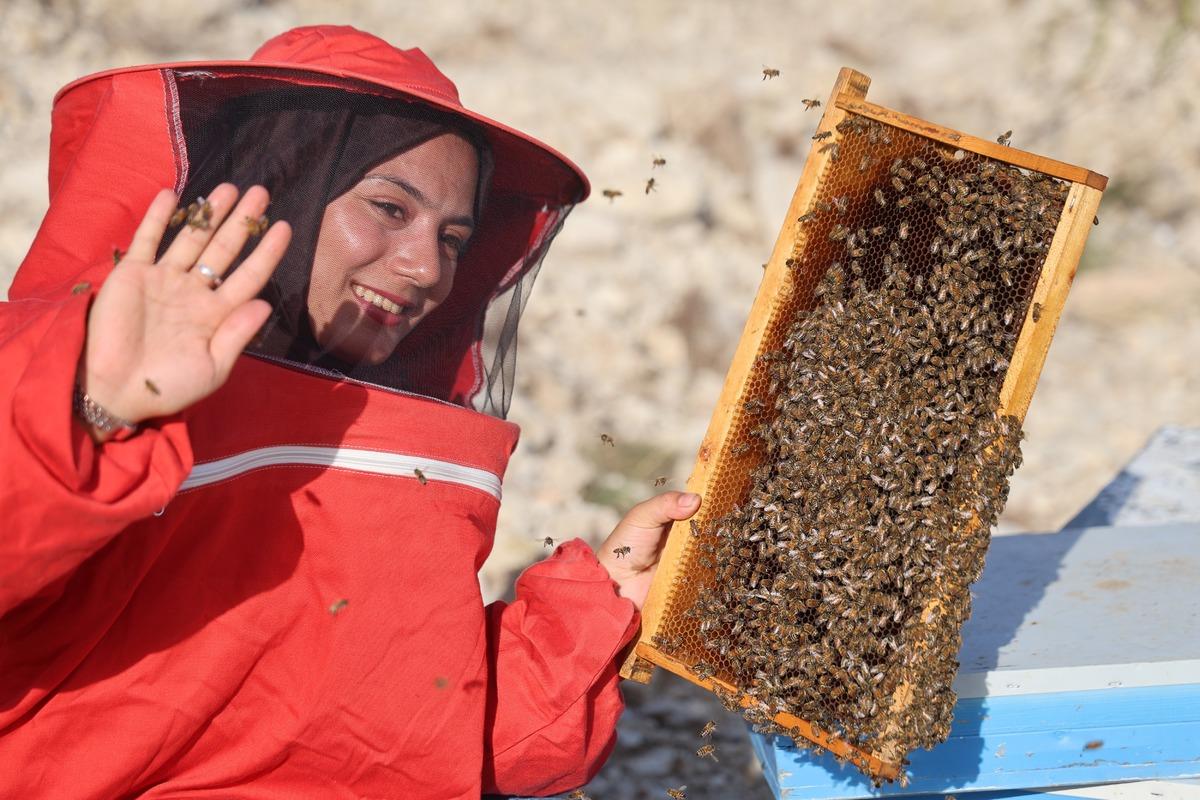 22 yaşında kendi işinin patronu oldu! Genç kadın şimdi bin kovanla Türkiye yi geziyor 1