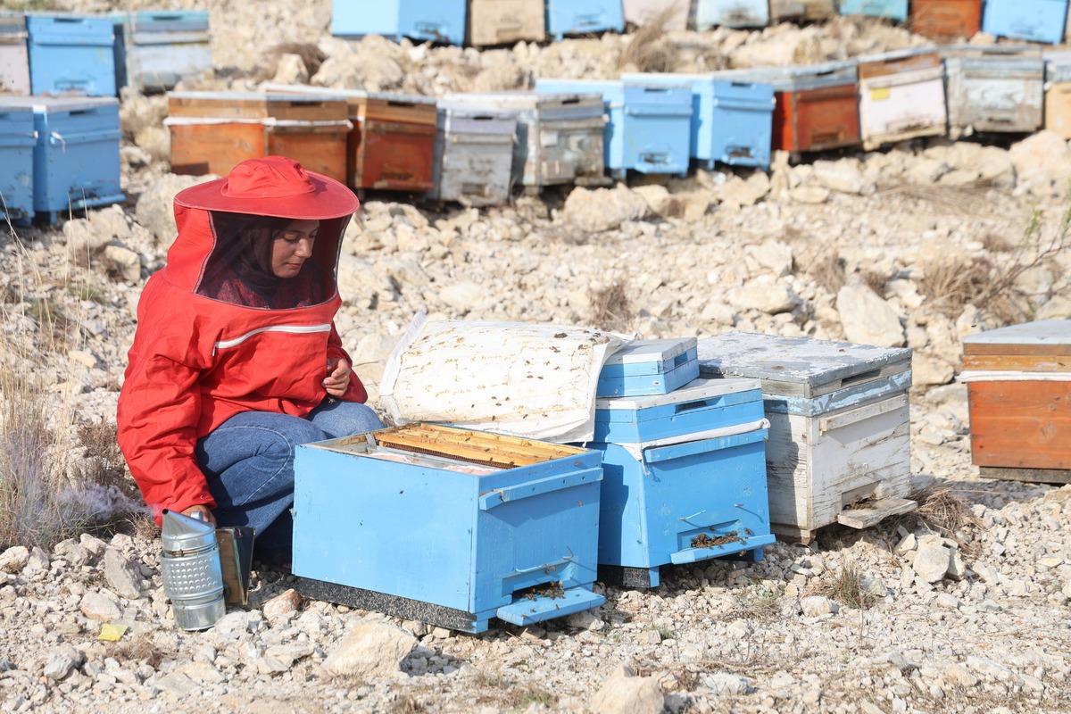 22 yaşında kendi işinin patronu oldu! Genç kadın şimdi bin kovanla Türkiye yi geziyor 7