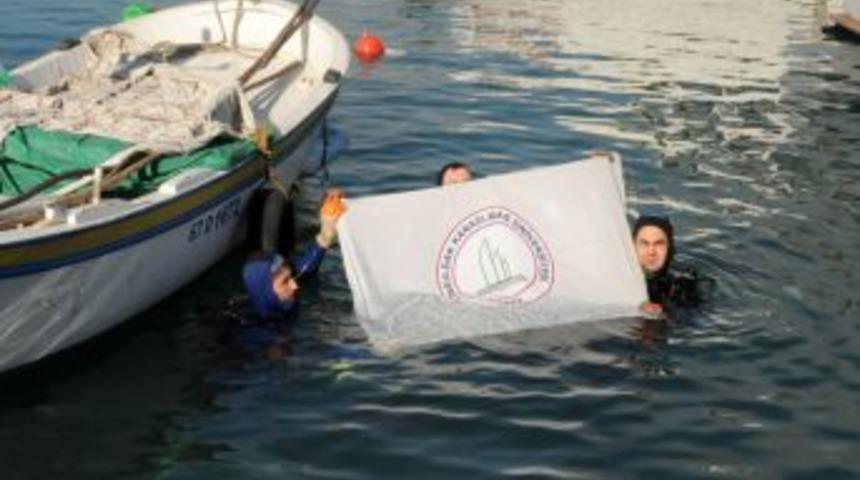 Dalgı&ccedil;ların Cumhuriyet dalışında Karadeniz'den T&uuml;rk bayrağı &ccedil;ıktı