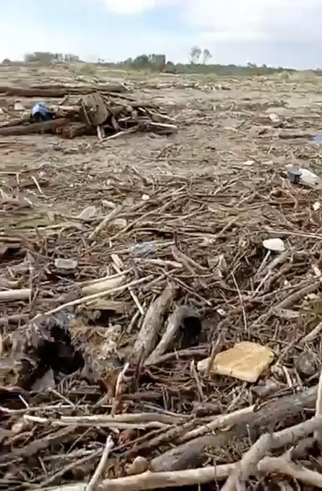 Sağanak sonrası Sakarya Nehri&rsquo;nden s&uuml;r&uuml;klenen dal ve &ccedil;alılar sahile vurdu 3