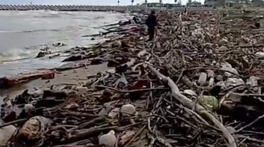 Sağanak sonrası Sakarya Nehri&rsquo;nden s&uuml;r&uuml;klenen dal ve &ccedil;alılar sahile vurdu