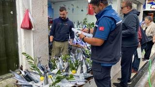 Sinop’ta balık satış yerleri denetlendi