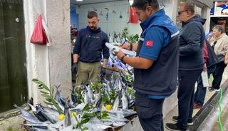 Sinop&rsquo;ta balık satış yerleri denetlendi