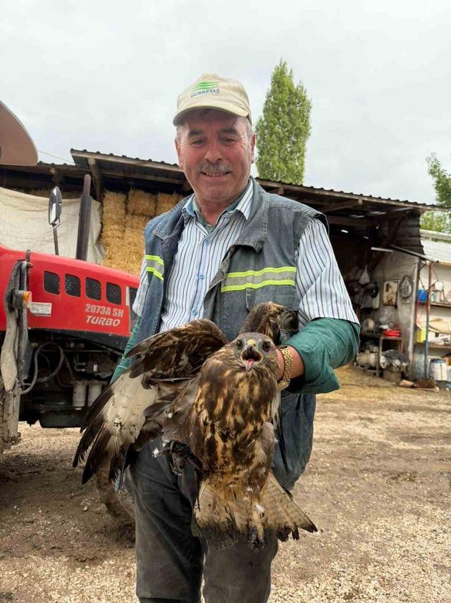 Bolu&rsquo;da sıcak asfalta yapışan şahin, muhtarın m&uuml;dahalesiyle kurtarıldı 2