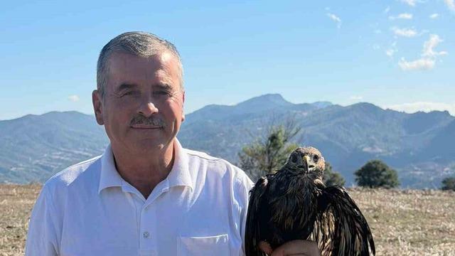 Bolu’da sıcak asfalta yapışan şahin, muhtarın müdahalesiyle kurtarıldı