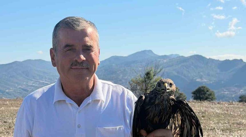Bolu&rsquo;da sıcak asfalta yapışan şahin, muhtarın m&uuml;dahalesiyle kurtarıldı