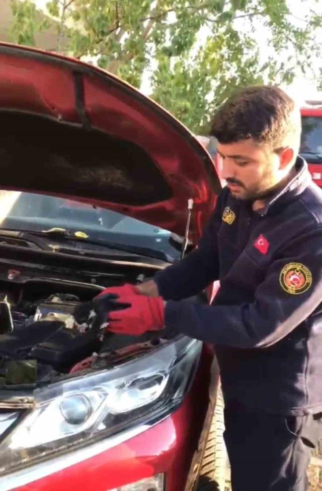 Diyarbakır da itfaiyenin yardımıyla 3 yavru kedi kurtarıldı 1