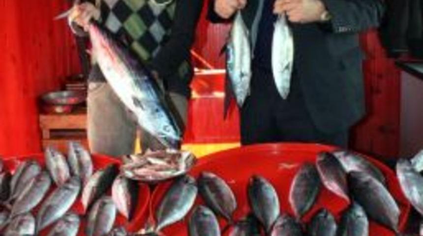 Palamut bolluğu dar gelirlinin y&uuml;z&uuml;n&uuml; g&uuml;ld&uuml;rd&uuml;