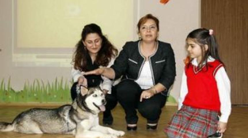 Onların da hakları var