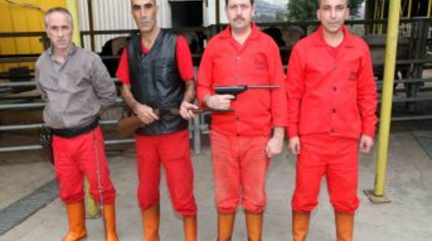 Boğa timi ka&ccedil;an kurbanlıklara g&ouml;z a&ccedil;tırmayacak