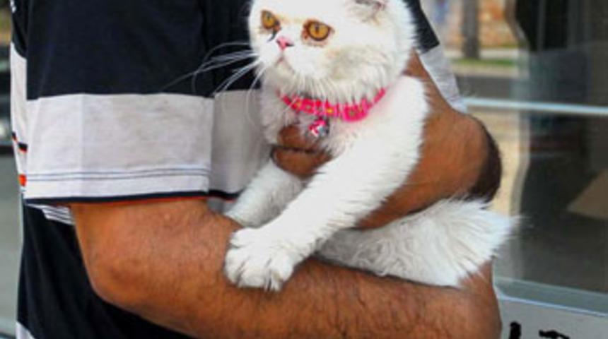 Sevgilisine tecavüz etti, kedisini rehin aldı