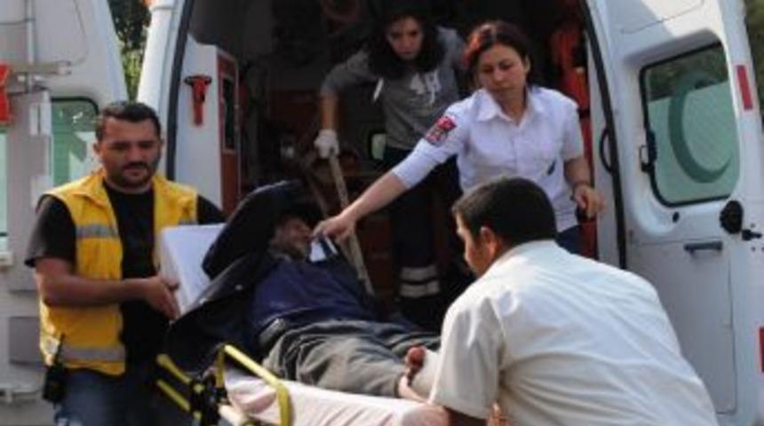 Ayının saldırısından arkadaşı kurtardı