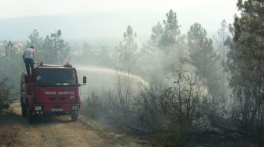 Anız yangını ormana sıçramadan söndürüldü