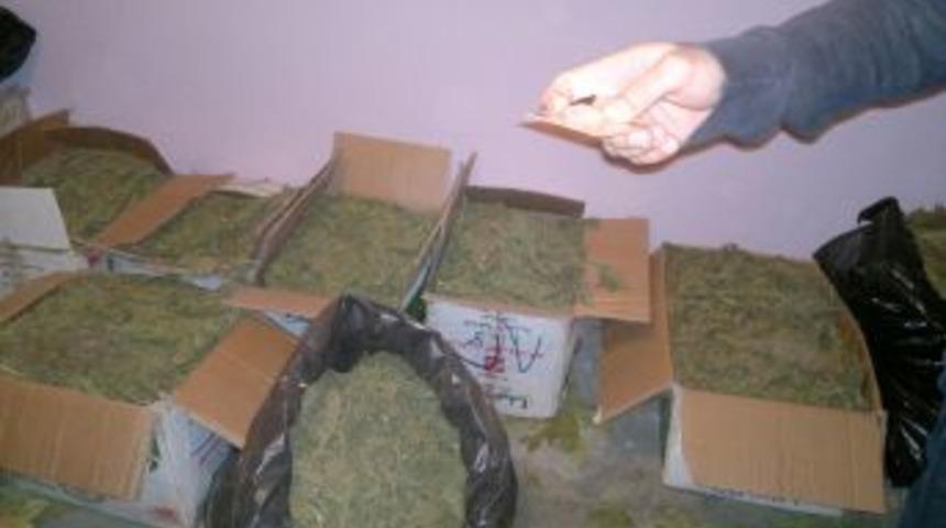 Bursa'da uyuşturucu operasyonu : 3 kişi gözaltına alındı