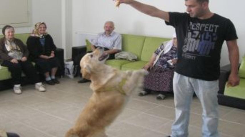 Yaşlılar hayvan sevgisiyle stres atıyor