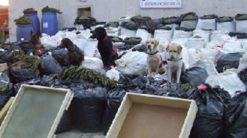 Diyarbakır'da b&uuml;y&uuml;k vurgun