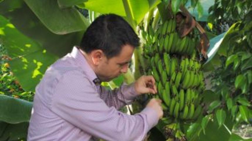 Bilin&ccedil;li tarım uygulaması Manavgat'ta meyve &ccedil;eşitliliğini artırdı