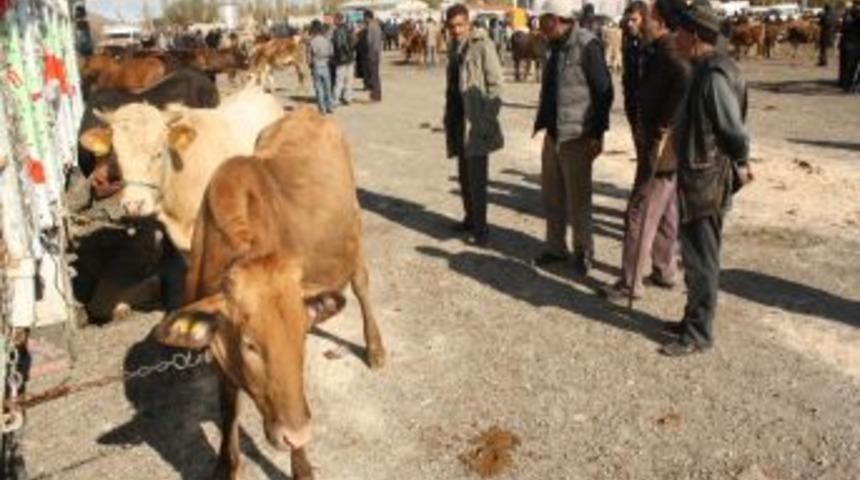 Kars&rsquo;ta kurbanlık satışları başladı