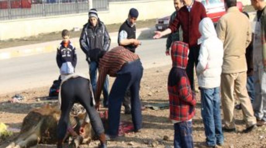 Paland&ouml;ken Belediyesi Kurban Bayramı i&ccedil;in gerekli tedbirleri aldı