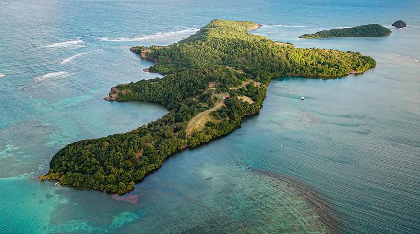Bu adaya insan girişi yasak! D&uuml;nyanın başka hi&ccedil;bir yerinde bulunmayan yılan t&uuml;r&uuml;