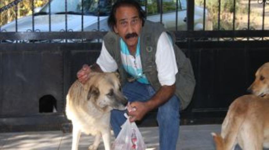 Hayatını &ouml;z&uuml;rl&uuml; kedi ve k&ouml;peklere adadı, belediyelerden destek alamıyor