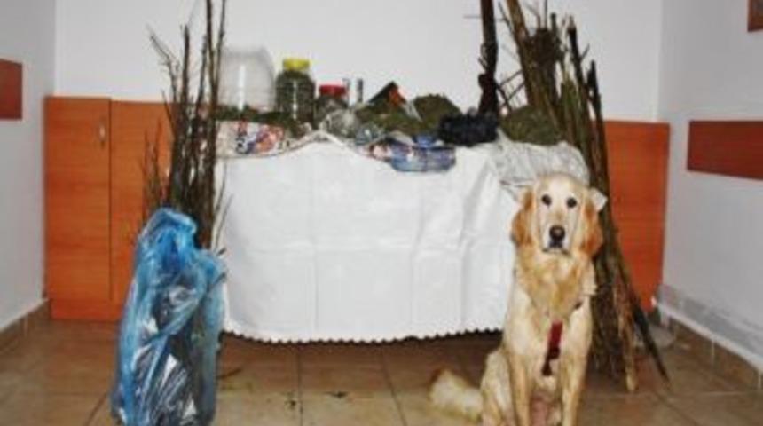 G&ouml;rele'de jandarma timlerinden uyuşturucu satıcılarına darbe