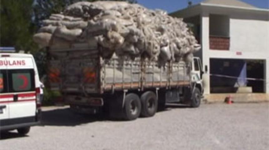 Muğla'da seri katil paniği...