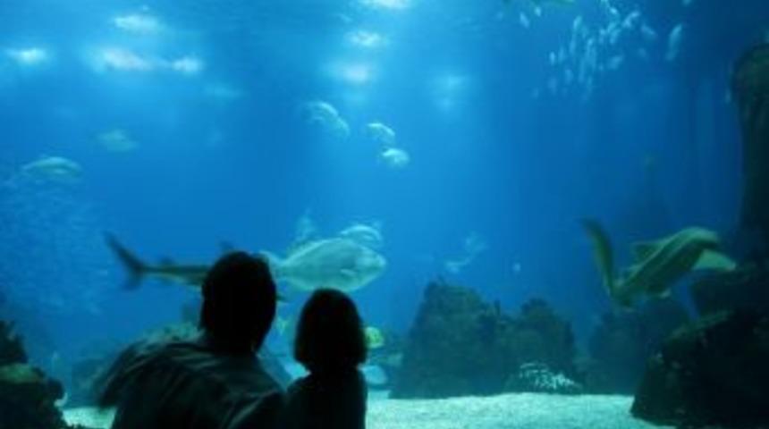 İstanbul Akvaryum’dan çocuklara bayram müjdesi