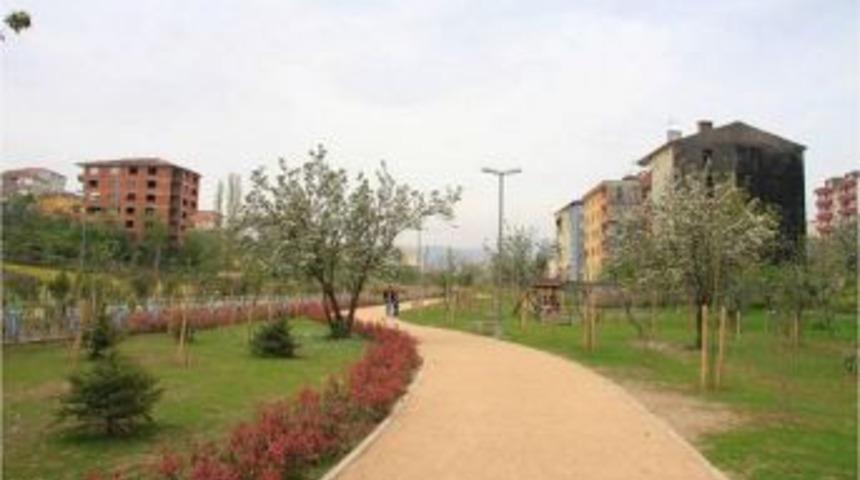 Kaşkaldere&rsquo;ye 7 ayda 80 bin ağa&ccedil;