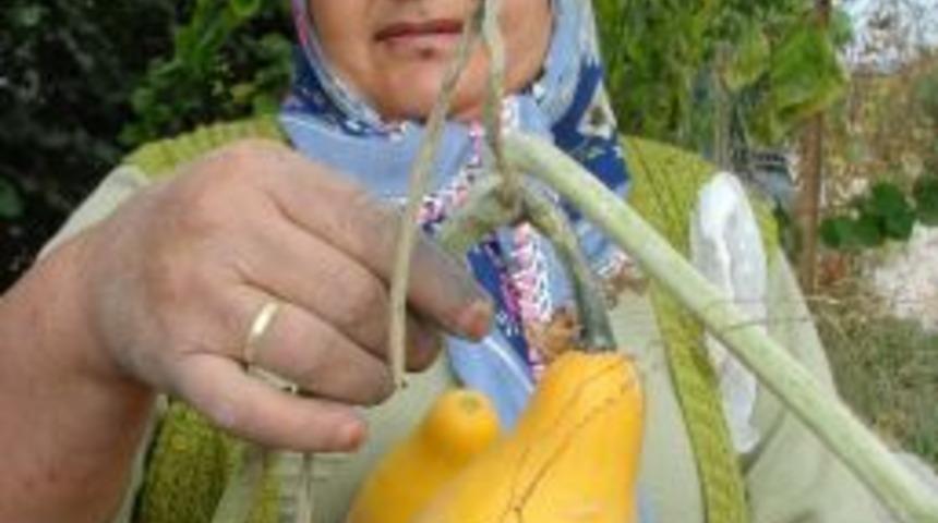 S&uuml;s kabakları h&uuml;nerli ellerde turistik eşya oluyor