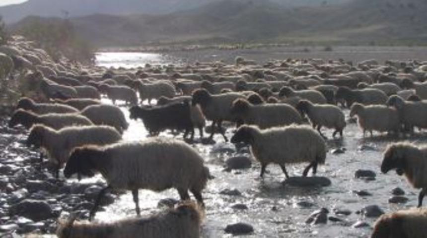 Şırnak'ta g&ouml;&ccedil;erler yuvalarına d&ouml;nd&uuml;
