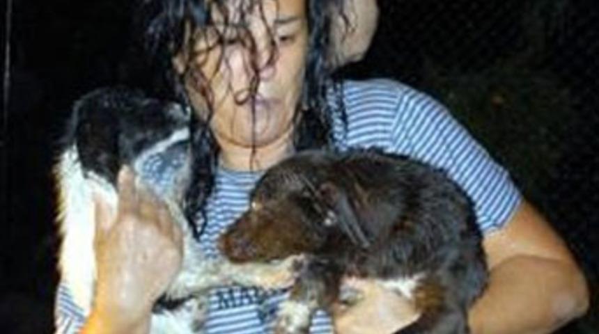 Sel sokak hayvanlarını da vurdu