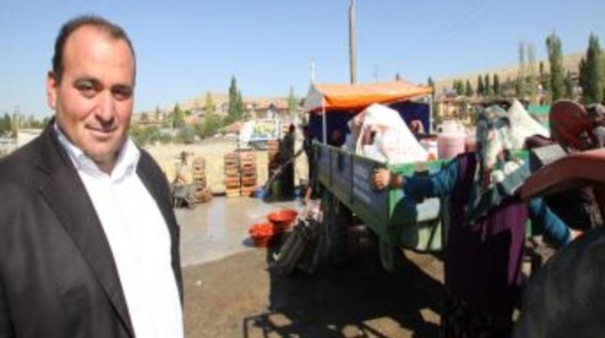 Ankaralı &uuml;retici fiyatı d&uuml;ş&uuml;nce domatesi sal&ccedil;a yapmaya başladı