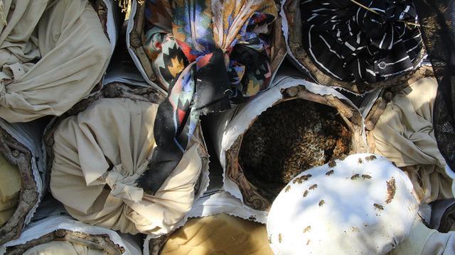 Dedelerinden öğrendi, 15 yıldır dağların arasında üretiyor! Bu yıl verim yüzünü güldürdü